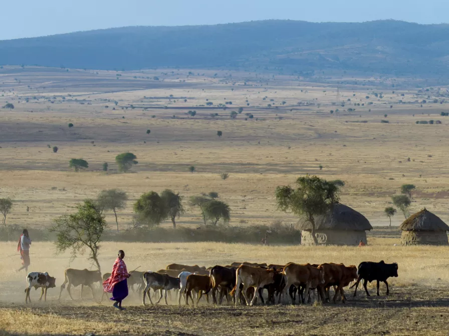 Landschaft in Tansania