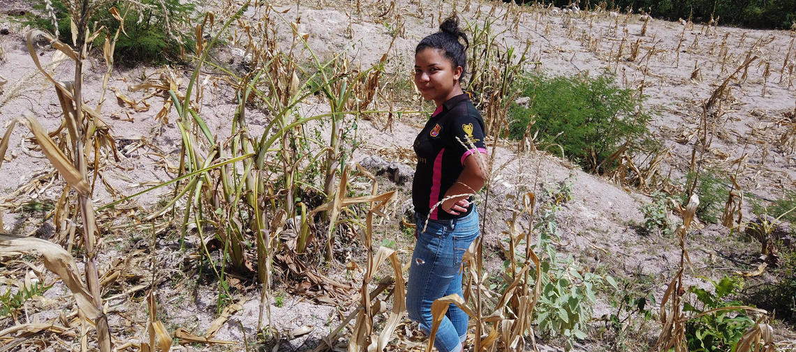Anhaltende Dürren zerstören häufig die Ernten in Mittelamerika und verursachen so Arbeitslosigkeit und Hunger.