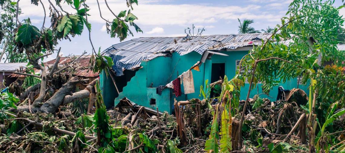 Vor allem im Süden Haitis wurden viele Häuser zerstört