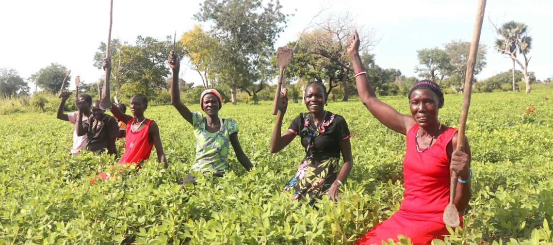 Südsudan Frauen Ackerbau