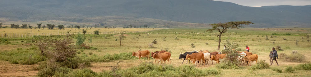 Landschaft in Kenia