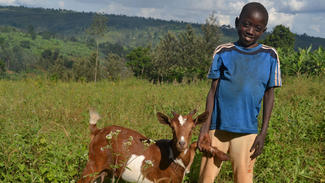 Junge mit Ziege in Burundi