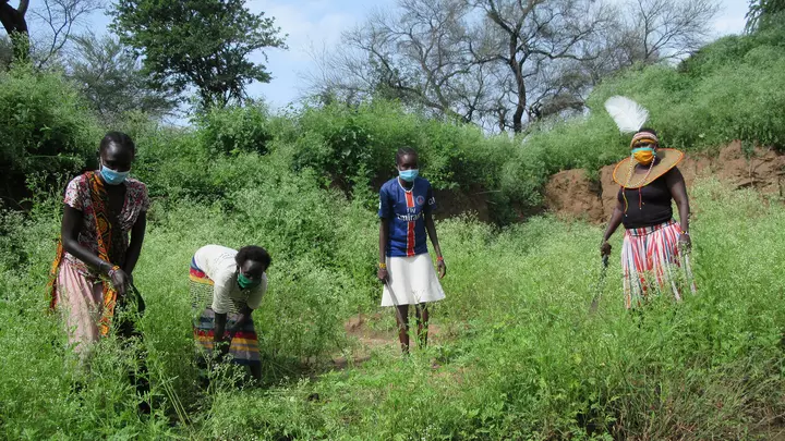 Menschen  werden in Kenia geschult wie sie nachhaltig anbauen können