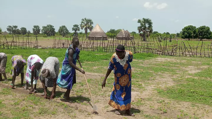 Menschen im Südsudan lernen über nachhaltige Anbaumethoden
