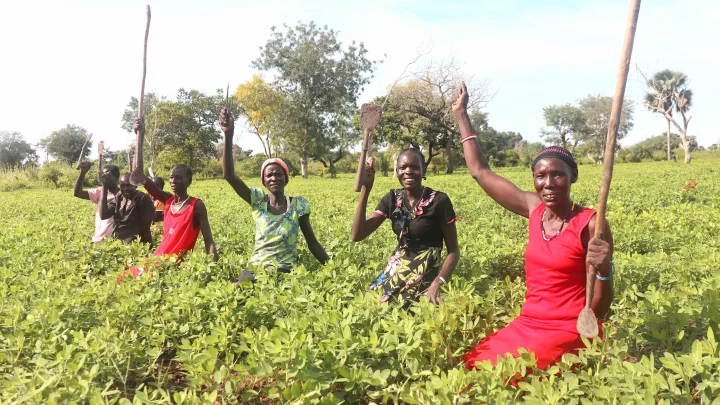 Südsudan Frauen Ackerbau