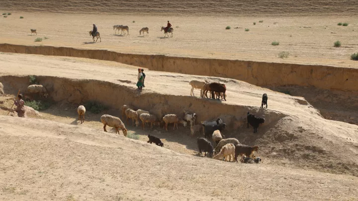 Afghanistan Dürre