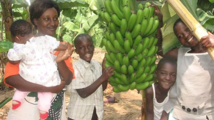 Familie mit Bananenstauden