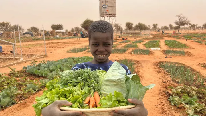 Einblicke aus dem Projekt zur Stärkung der Resilienz in Niger 