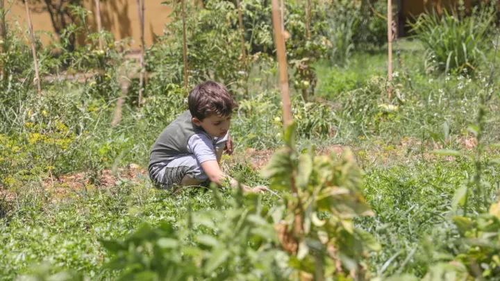 Ein kleiner Junge in seinem Garten im Libanon