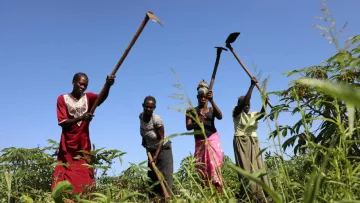 Block-Farming in Uganda